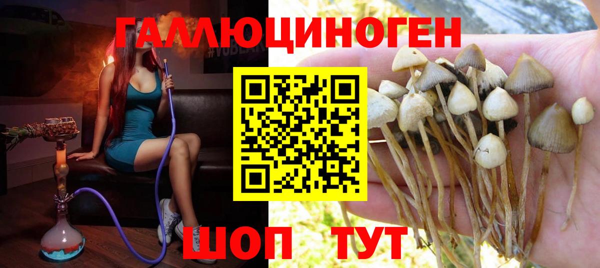 наркотики  Вход с VPN  Щёкино  Псилоцибиновые грибы мухоморы 